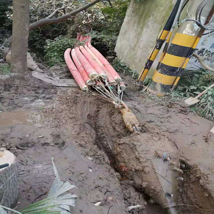 德国武汉焊接涂装线拖拉管